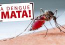 Novo boletim registra 41.472 novos casos de dengue e mais 31 óbitos no Paraná