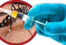 SMS-CP divulgou os Boletins Epidemiologico da Dengue e Covid 19 do dia 14/03/2024